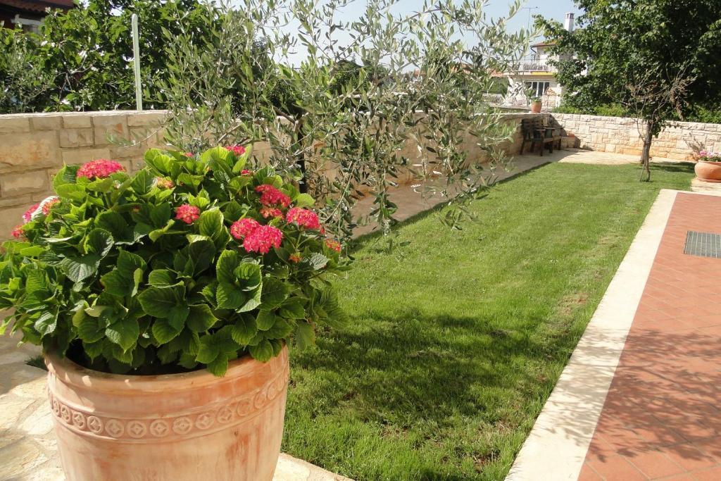 Apartments Villa Ela Umag Dış mekan fotoğraf